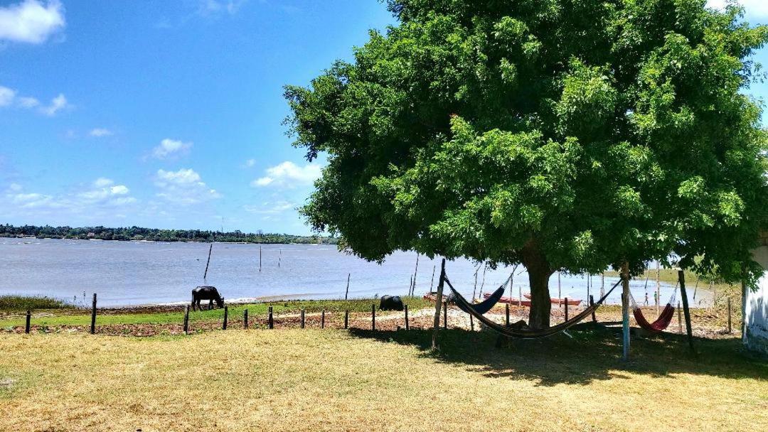 Casa Em Ilha De Marajo. Soure